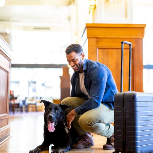 A smiling man crouches beside a black dog with luggage in an indoor setting, possibly a hotel or station, with bright natural light in the background.