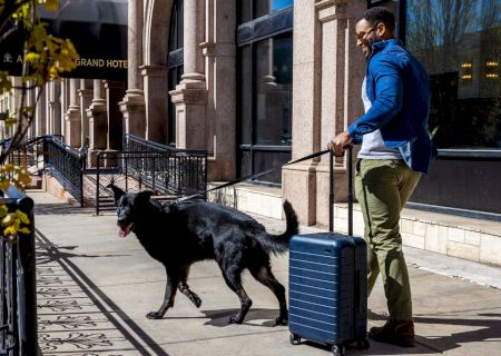 A man walks a dog while pulling a suitcase on a sunny city sidewalk.