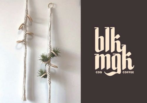Hanging macramé plant holders on left; 
